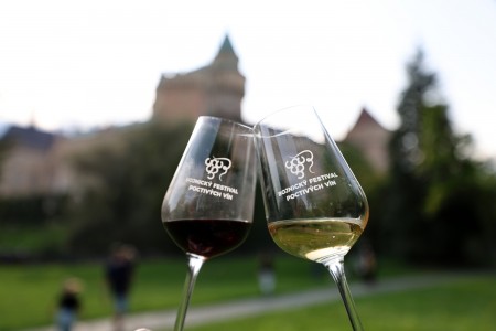 Foto a video: Bojnický festival poctivých vín 2025 14