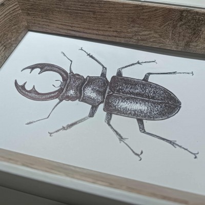 Zážitkové maľovanie: CHROBÁK V HLAVE... i na papieri