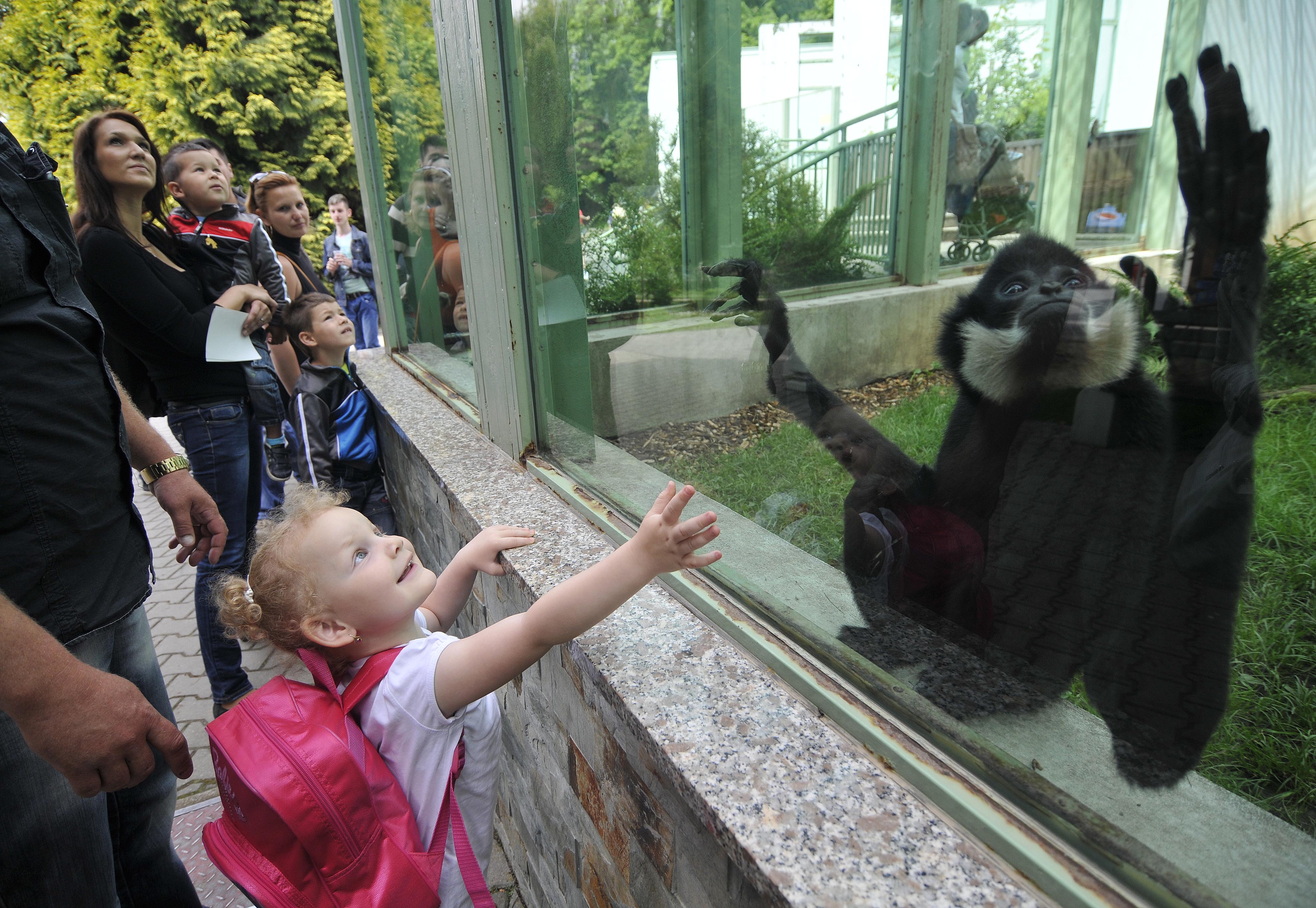ZOO Bojnice - Národná zoologická záhrada Bojnice