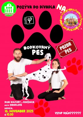 Bodkovaný pes