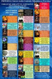 PRIWIDYA Fest 15 pätnásty ročník tradičného, umelecko – multižánrového festivalu 0