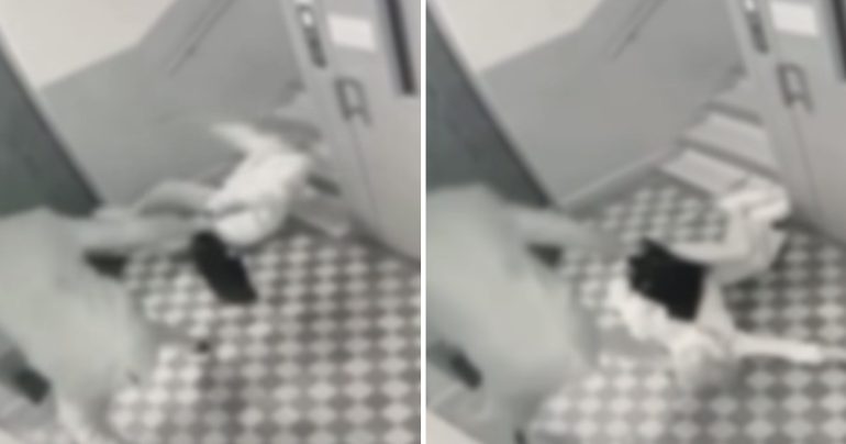 VIDEO: Zlodej v Prievidzi prepadol 87-ročnú ženu, spadla na zem, pripravil ju o peniaze aj doklady