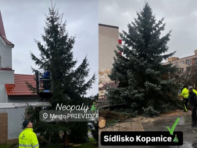 V Prievidzi začali s osádzaním vianočných stromčekov vo viacerých častiach mesta