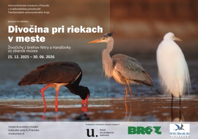 Divočina pri riekach v meste