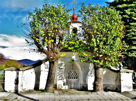 Od stromu k aleji na hornej Nitre 0