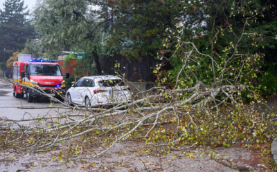 Silný vietor piatok v Handlovej lámal stromy
