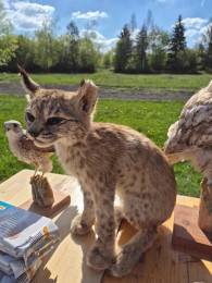 Foto: Na EKOROKU 2026 odznela „Správa o planéte Zem“ 3