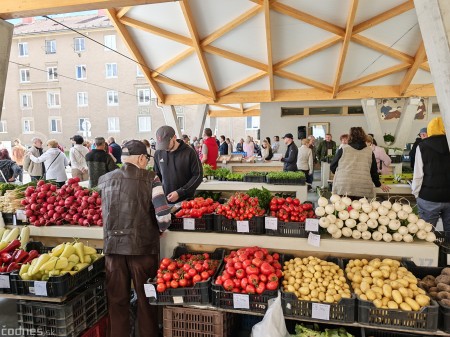 Foto a video: Zanedbané miesto je minulosťou: Prievidza otvorila zrekonštruovanú tržnicu za pol milióna eur 20