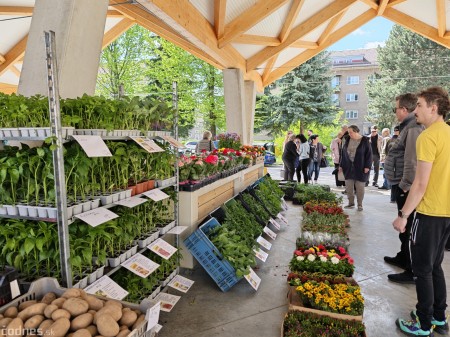 Foto a video: Zanedbané miesto je minulosťou: Prievidza otvorila zrekonštruovanú tržnicu za pol milióna eur 27