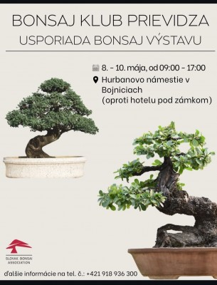 BONSAJ VÝSTAVA - Bojnice 2026