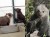 Video: Bojnická zoo upozornila, že pomaly nemá kde dávať osirelé medvieďatá a že situácia je neudržateľná