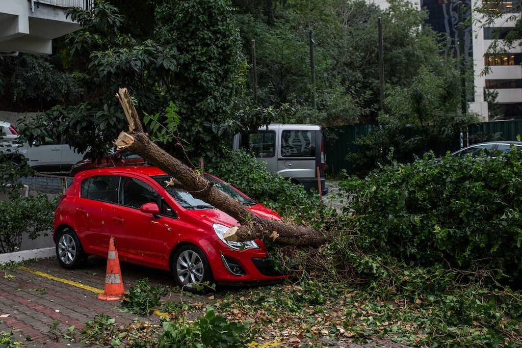 Silný vietor a padajúce konáre: Máte auto poistené proti jesennej nepriazni počasia?
