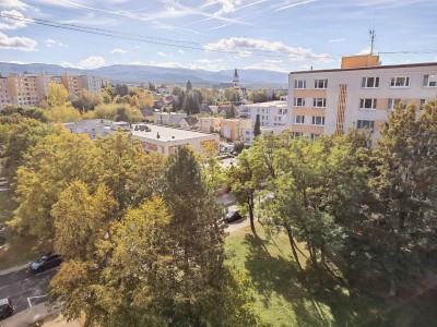 Foto: Prievidza bude zelenšia: 75 nových stromov pribudne vo viacerých častiach mesta