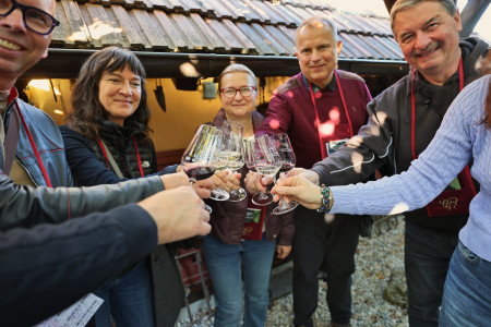 Foto a video: Bojnický festival poctivých vín 2026 - Bojnice - 7. ročník 10