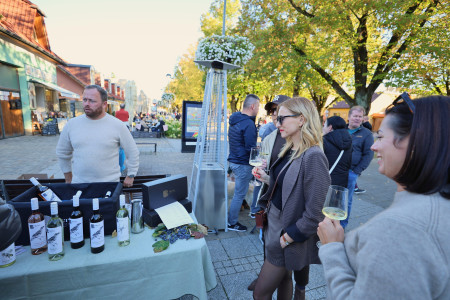 Foto a video: Bojnický festival poctivých vín 2026 - Bojnice - 7. ročník 27