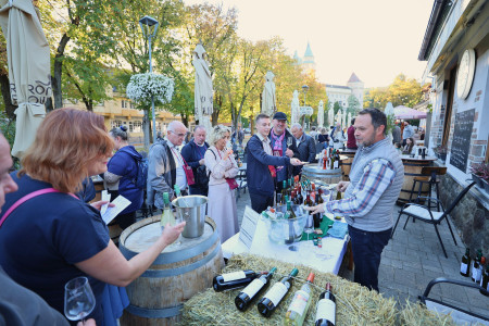 Foto a video: Bojnický festival poctivých vín 2026 - Bojnice - 7. ročník 29