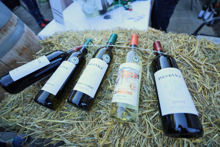 Foto a video: Bojnický festival poctivých vín 2026 - Bojnice - 7. ročník 30