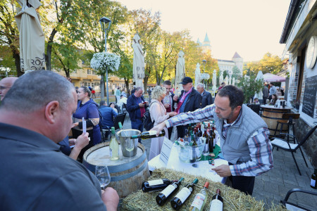 Foto a video: Bojnický festival poctivých vín 2026 - Bojnice - 7. ročník 31