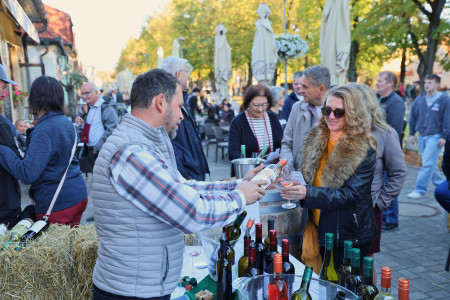 Foto a video: Bojnický festival poctivých vín 2026 - Bojnice - 7. ročník 34