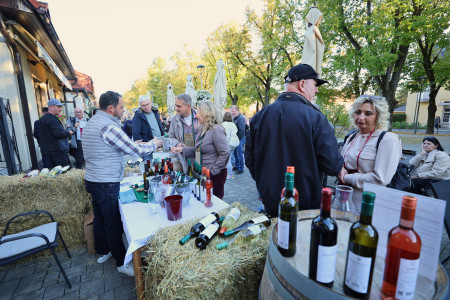 Foto a video: Bojnický festival poctivých vín 2026 - Bojnice - 7. ročník 35