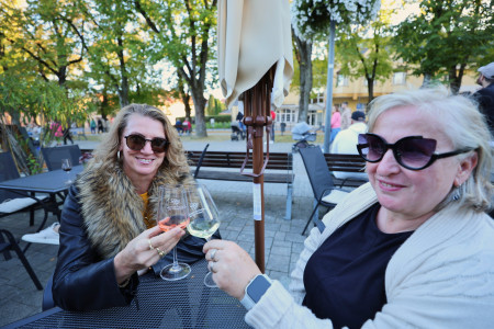 Foto a video: Bojnický festival poctivých vín 2026 - Bojnice - 7. ročník 37