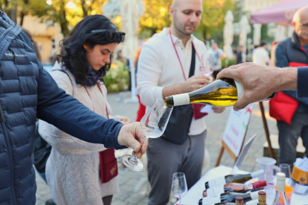 Foto a video: Bojnický festival poctivých vín 2026 - Bojnice - 7. ročník 43