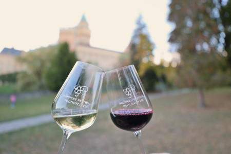 Foto a video: Bojnický festival poctivých vín 2026 - Bojnice - 7. ročník 47