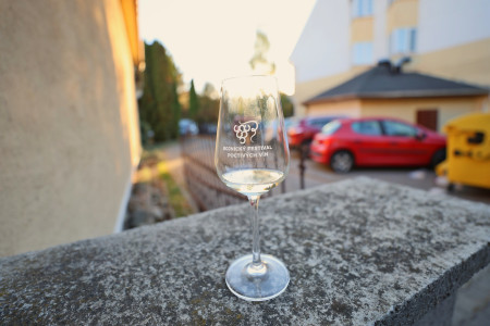 Foto a video: Bojnický festival poctivých vín 2026 - Bojnice - 7. ročník 51