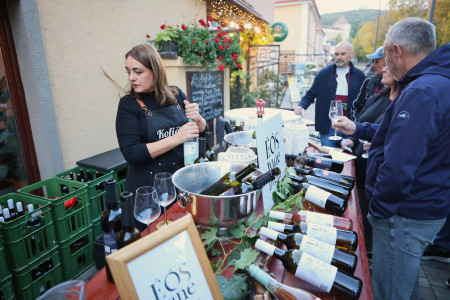 Foto a video: Bojnický festival poctivých vín 2026 - Bojnice - 7. ročník 68