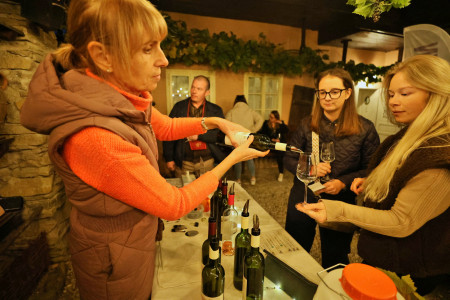 Foto a video: Bojnický festival poctivých vín 2026 - Bojnice - 7. ročník 77
