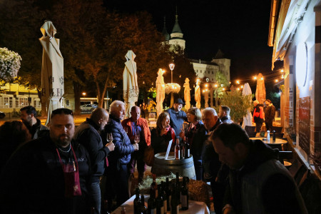 Foto a video: Bojnický festival poctivých vín 2026 - Bojnice - 7. ročník 81