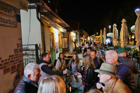 Foto a video: Bojnický festival poctivých vín 2026 - Bojnice - 7. ročník 82