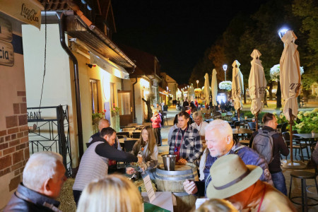 Foto a video: Bojnický festival poctivých vín 2026 - Bojnice - 7. ročník 83
