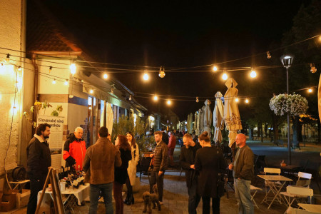 Foto a video: Bojnický festival poctivých vín 2026 - Bojnice - 7. ročník 85