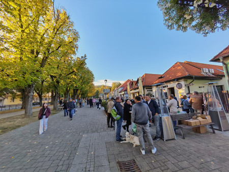 Foto a video: Bojnický festival poctivých vín 2026 - Bojnice - 7. ročník 94