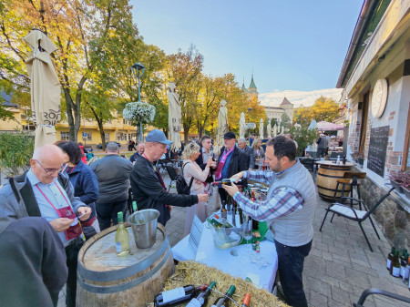 Foto a video: Bojnický festival poctivých vín 2026 - Bojnice - 7. ročník 97