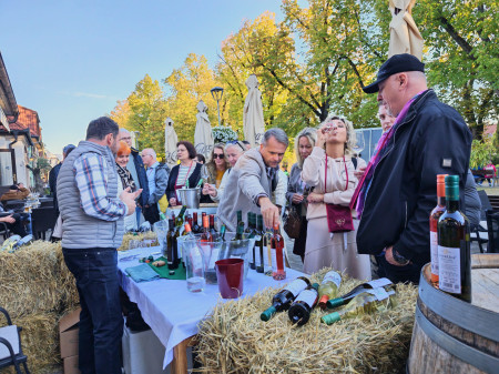 Foto a video: Bojnický festival poctivých vín 2026 - Bojnice - 7. ročník 98