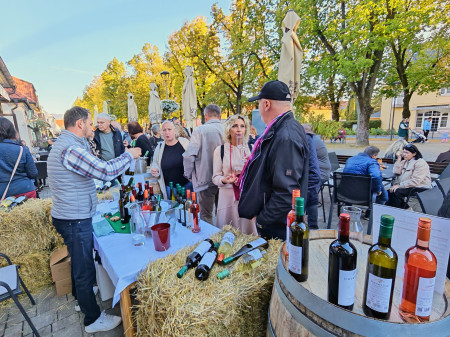 Foto a video: Bojnický festival poctivých vín 2026 - Bojnice - 7. ročník 100