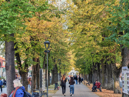 Foto a video: Bojnický festival poctivých vín 2026 - Bojnice - 7. ročník 105