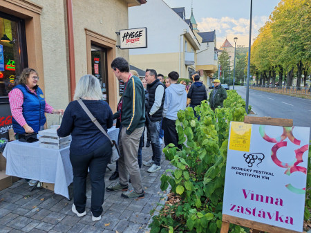 Foto a video: Bojnický festival poctivých vín 2026 - Bojnice - 7. ročník 107